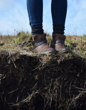 At just a few inches under our feet, the rhizosphere is described as a "hotspot for microbes." (Photo by Chad Ralston) At just a few inches under our feet, the rhizosphere is described as a "hotspot for microbes." (Photo by Chad Ralston)