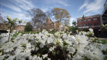 Spring Flowers on Campus Spring Flowers on Campus